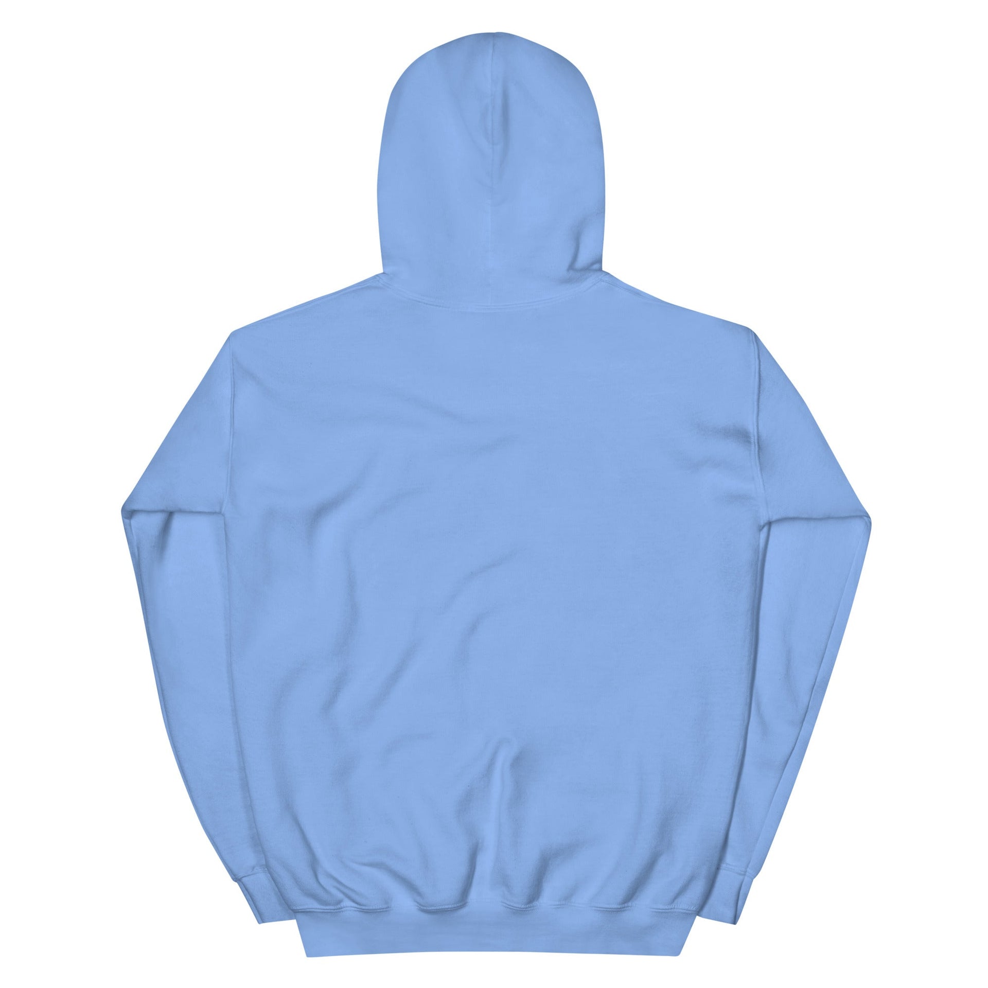 "We Still Choose Us" Heavy Blend Hoodie Carolina Blue - THE LOVE EDIT
