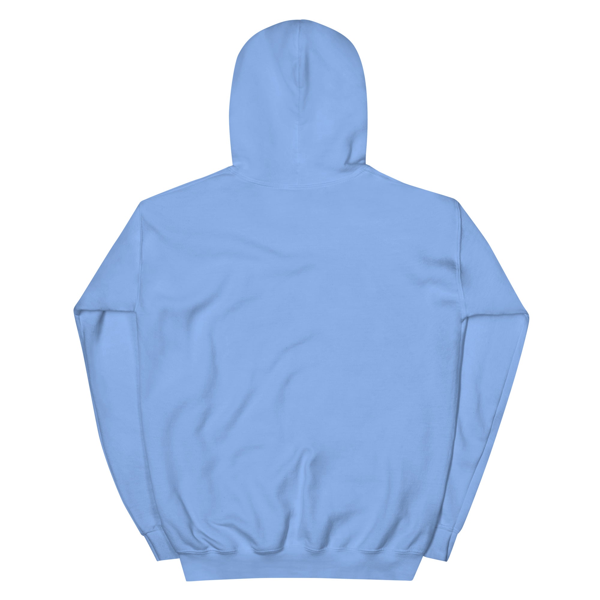 "We Still Choose Us" Heavy Blend Hoodie Carolina Blue - THE LOVE EDIT